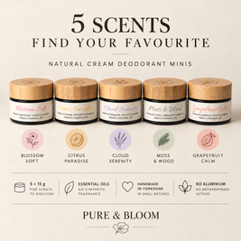 The Mini Discovery Collection